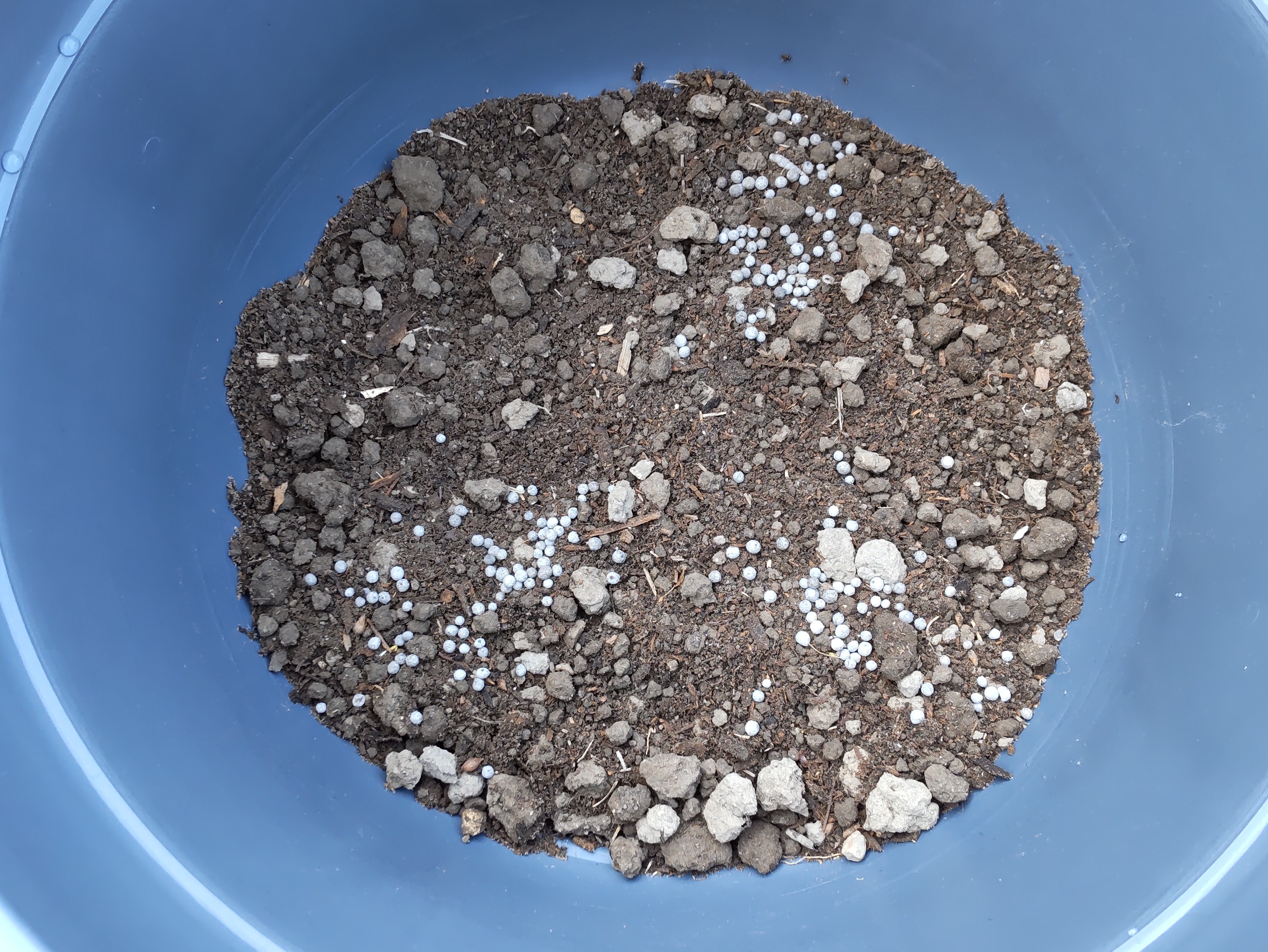 肥料を撒いた様子