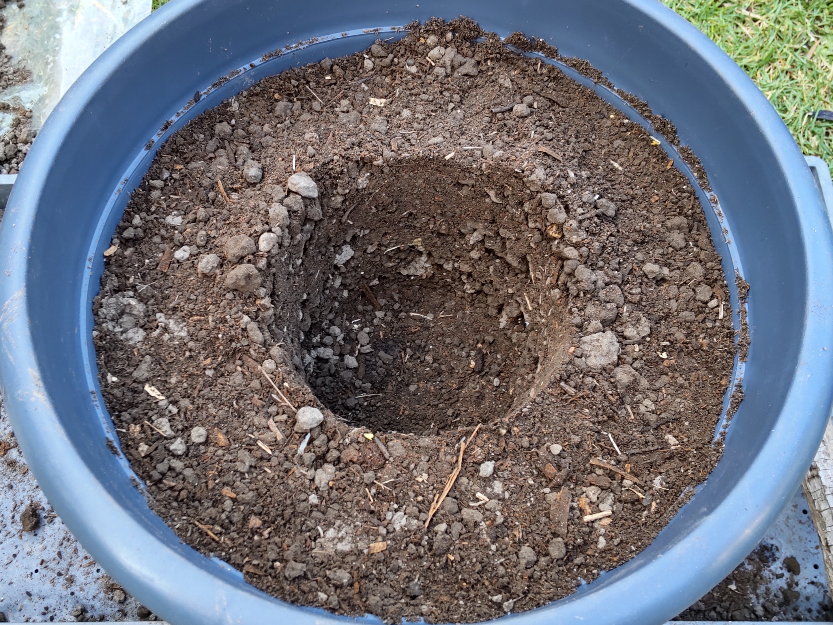 大鉢の土から小鉢を抜いた状態