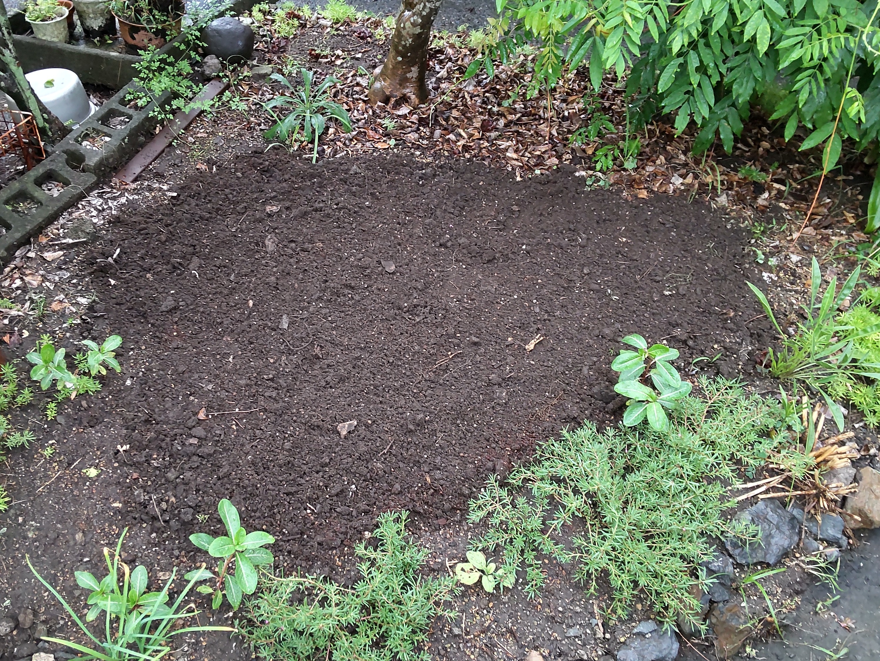 耕した後の花壇
